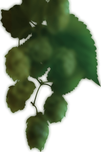 beer-hop-left.png